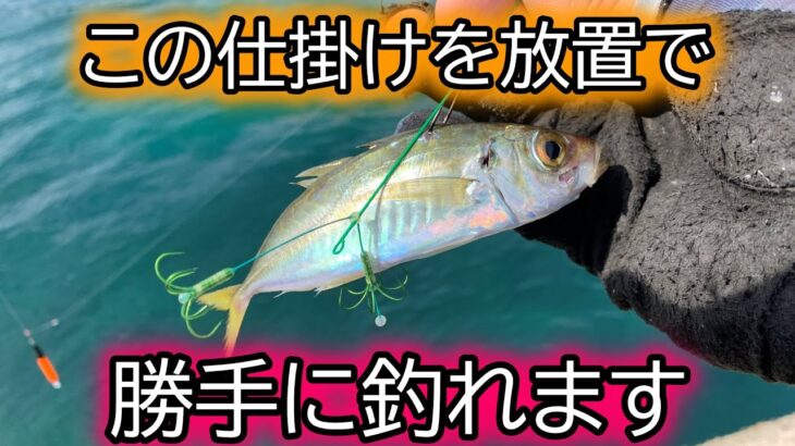 【簡単】釣ったアジを放置するだけでアオリイカが勝手に釣れる仕掛けがこちら。