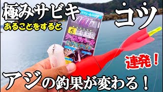 堤防で格段にアジの釣果が変わるウキサビキ釣り！アジが釣れる王道の仕掛けと釣法のコツ！あることをしたら良型のアジ・シマアジが連発！