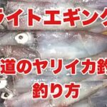 【エギング】函館　簡単なイカ釣りの始め方