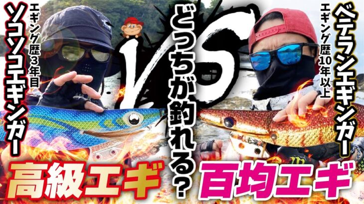 エギングバトル‼️100均エギ vs 高級エギ！どっちが釣れるか試してみたらイカが🦑✨