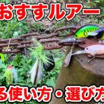 【バス釣り】11月晩秋のおすすめルアー!!使い方や出しどきなど釣れるタイミングを徹底解説してみた【ハードルアー編】【ベビーアビノー】【レベルバイブ】