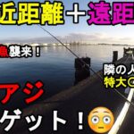 【神奈川県横浜市】11月中旬秋のサビキ釣り調査！ここ数年アジが好調な神奈川県横浜市の釣り場で、深夜から朝まずめにかけて近距離＋遠距離のサビキ釣りで釣りしてみたら…！【2021.11.10】