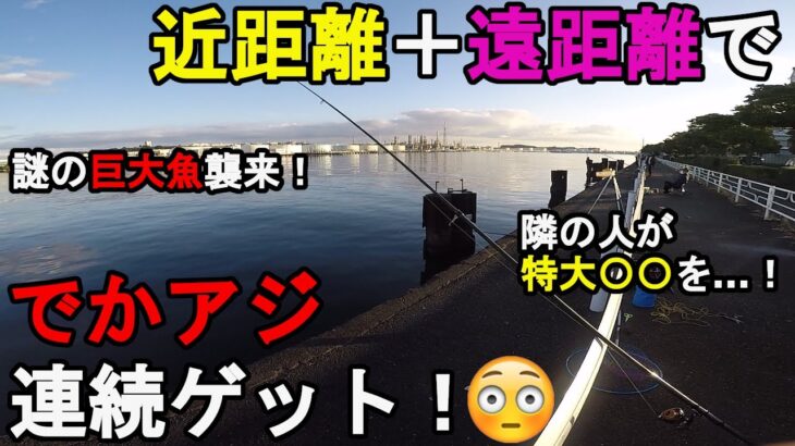 【神奈川県横浜市】11月中旬秋のサビキ釣り調査！ここ数年アジが好調な神奈川県横浜市の釣り場で、深夜から朝まずめにかけて近距離＋遠距離のサビキ釣りで釣りしてみたら…！【2021.11.10】