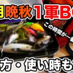 【バス釣り】11月晩秋のルアー・ワームのタックルボックス!!整理したのでバッグの中身を紹介してみた【おさかなスイマーどこいった？】【TNジャッカル】【俺達】【秦拓馬】[RAID JAPAN]