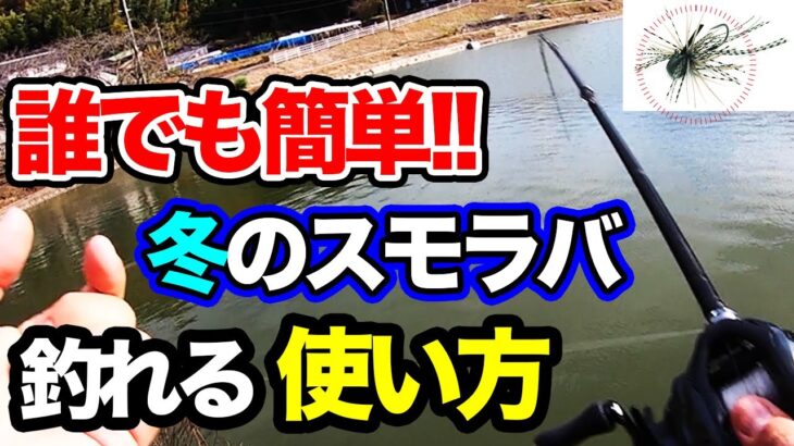 【バス釣り】冬のスモラバの使い方!!吊るしのコツ・タックルやラインについても解説してみた【ベイトフィネス】【パワーフィネス導入したい】【12月のバス釣り】【初冬】