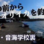 【釣り場動画#16】福井にある音海学校裏はイカ釣りファンなら一度は訪れたい超人気釣り場（エギング・ヤエン・根魚）