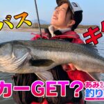 あみちゃんのもっと釣りたい！第73話 鳥取県中海でランカーシーバスGET!?(1133)