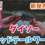 (バス釣り）NEWダイソーシャッドテールワームでバスを釣ろう！