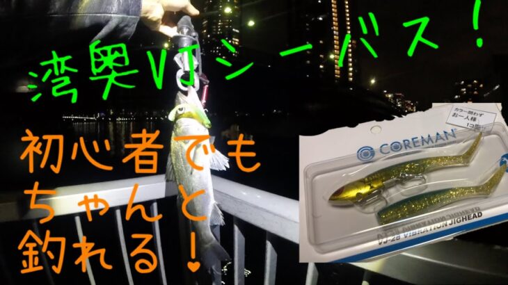 【湾奥】豊洲、潮見運河周辺でコアマンVJシーバス釣り！