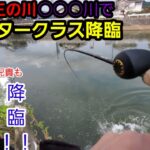 【福岡バス釣り】福岡第三の川！！モンスタークラス降臨【秋バス釣り】【osp】【ドライブクローラー】【一誠】【キャラメルシャッド】【遠賀川】【今川】【外来魚】【ブラックバス】【Vlog】【ふたりエッチ】