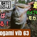 バイブでキモティィィィィ！！バス釣り！！バイブレーションで琵琶湖南湖デカバス！モガミバイブ最強説！ #shorts