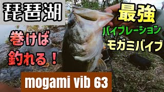 バイブでキモティィィィィ！！バス釣り！！バイブレーションで琵琶湖南湖デカバス！モガミバイブ最強説！ #shorts