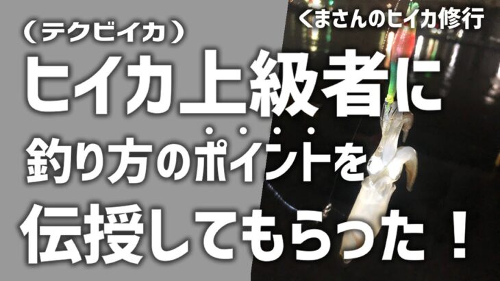 イカ釣り＠青森八戸「ヒイカ(テクビイカ)釣り初心者が上級者に釣り方を伝授してもらった」初心者必見！