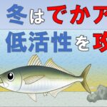 【冬アジングのポイント】初心者の方におすすめ　港内湾内でボトムアジ　回遊を探して数釣り