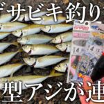 軽量投げサビキ仕掛けで良型のアジが連発！秋の美味しいアジを釣りに行く旅