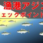 【アジングのポイント（漁港に着いたら編）】初心者の方におススメです。漁港アジングのチェックポイント７選。漁港に着いたら確認すること。