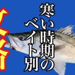 冬のシーバスの釣り方。寒い時期のシーバスのベイトパターンを解説