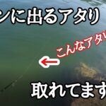 【エギング】ラインで取るアタリの出方