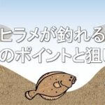 【初心者向け】サーフでヒラメが釣れる３つのポイントと狙い方