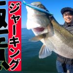 「釣れるジャーク」と「釣れないジャーク」を教えます。