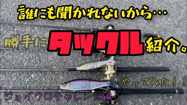 野池尺ワン野郎のビッグベイトタックル紹介‼　プチ鳶ジョイクロチャレンジ編　【バス釣り】