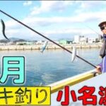 激熱！冬の釣り！12月にサビキ釣り絶好調！あの魚がついに釣れ始めたぞっ！