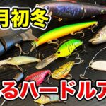 【冬のバス釣り】12月初冬のおすすめルアーは？使い方や使い時も合わせて解説してみた【ハードルアー編】