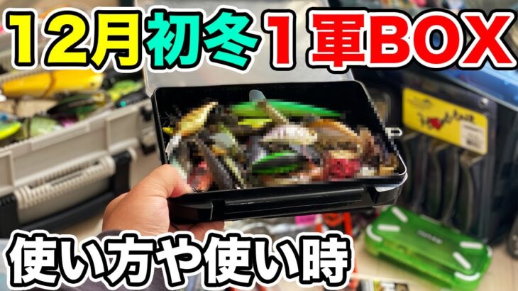 【冬のバス釣り】12月初冬のルアー・ワームのタックルボックス!!整理したのでバッグの中身を紹介してみた【ダウンショット】【レベルバイブブースト】【ビッグベイト】【秦拓馬】[RAID JAPAN]