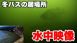 【バス釣り】冬ブラックバスはココに居る‼2021年水中映像【中川】