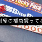 上州屋のシーバス福袋買ってみた(2022) 釣り福袋