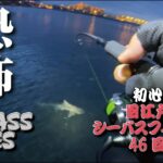 〈46回目シーバスフィッシング〉東京湾奥 旧江戸川朝マズメの恐怖・・・シーバスを釣るはずが・・ランカーを超える・・・・・鮫