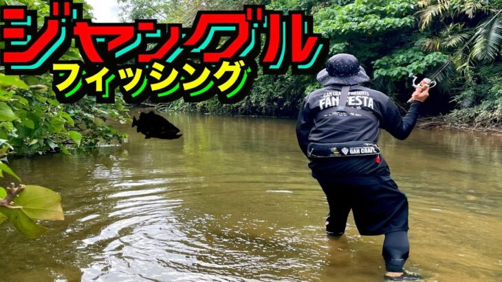 ジャングルに潜む魚をバス釣りルアーで釣り上げろ！【石垣島釣りチャレンジ前編】