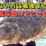 必ずヒラメが釣れるようになるポイント選択と実釣【初心者向け】ルアーを使ったヒラメの釣り方