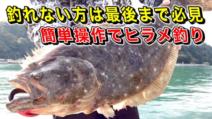 必ずヒラメが釣れるようになるポイント選択と実釣【初心者向け】ルアーを使ったヒラメの釣り方