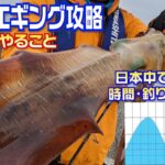 有料級！冬イカは日本中釣れる？初心者・全アングラー必見確実に釣る為のエギング講座　