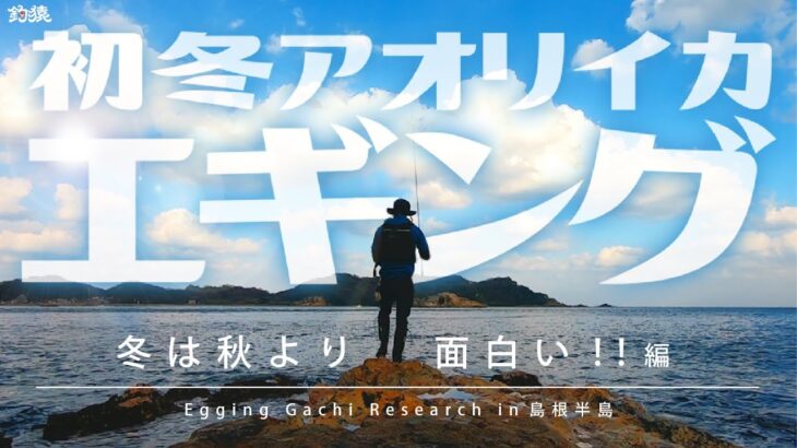 エギング！秋より面白いのは冬イカだった アオリイカの生態を学んで釣果アップ！