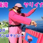 【ヤリイカ釣り】【相模湾】【ブランコ仕掛け】