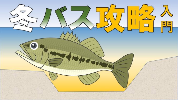 【冬バスのポイント】おかっぱり 野池 川 ブラックバス 攻略