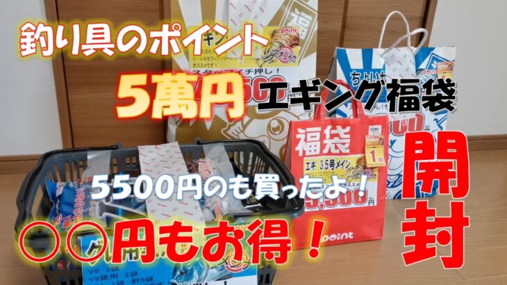 【２０２２年】釣具のポイントで５万円のエギング福袋を買ったら○○円もお得だった【福袋】