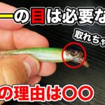 【バス釣り】ルアーの目玉の効果は本当にあるのか？諸説あるのでまとめてみた【冬のバス釣り】【1月のバス釣り】