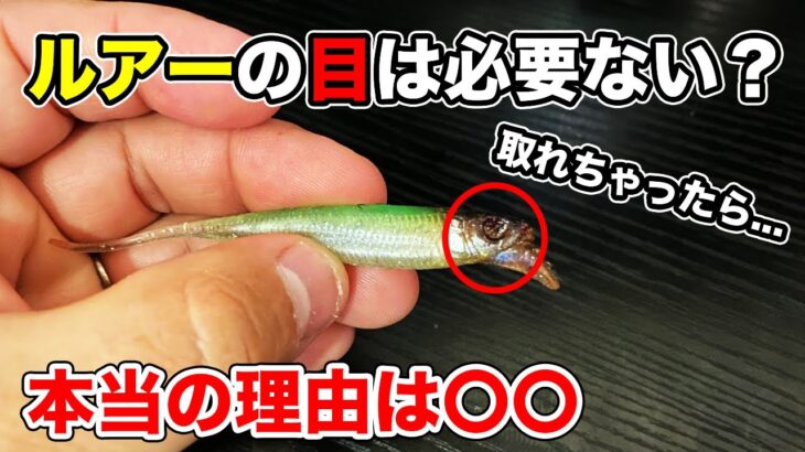 【バス釣り】ルアーの目玉の効果は本当にあるのか？諸説あるのでまとめてみた【冬のバス釣り】【1月のバス釣り】