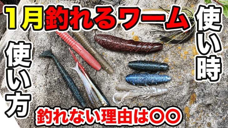 【バス釣り】1月冬のおすすめワーム・ソフトルアー！！使い所や使い方を解説してみた【2022】【ミドスト】【ズル引き】【バス釣りJAPANちゃんねる】