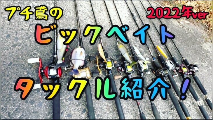 プチ鳶のビッグベイトタックル紹介2022‼【バス釣り】