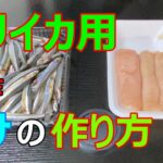 【22釣目】スーパーの食材で作るイカ釣り用の自作エサの作り方解説【初心者向け】