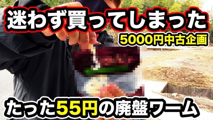 【バス釣り】中古ルアーを5000円廃盤ワーム激安でゲット!!1月g真冬だけじゃない使えるルアーを厳選して購入してみた結果…。【中古ルアーえぐり】【メーカー縛りなし】【シマノ・ダイワ2022新製品】