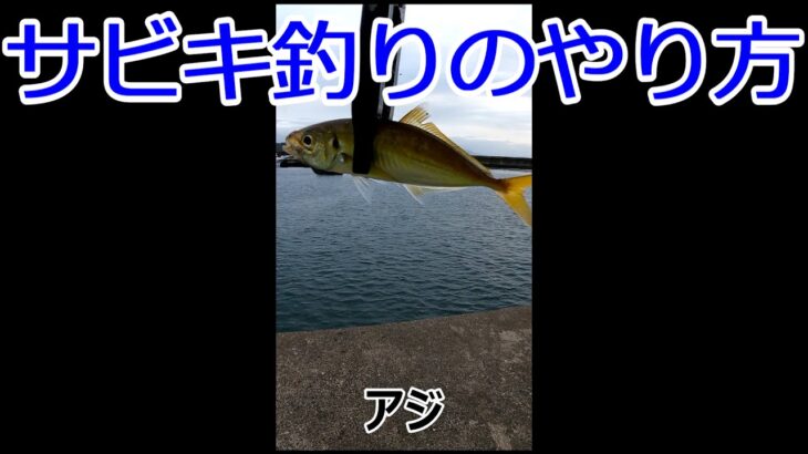 サビキ釣りのやり方　#Shorts