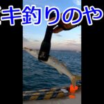 サビキ釣りのやり方　#Shorts