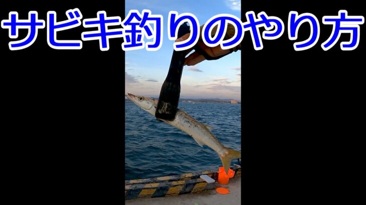 サビキ釣りのやり方　#Shorts