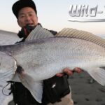 鹿児島・宮崎のサーフでオオニベ＆ヒラメを狙う！｜Wild-TriP/鉄人・松岡豪之(1156)