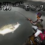 【琵琶湖バス釣り】１年に１度のXデーにおかっぱりしたらとんでもないモンスターがキタ‼️